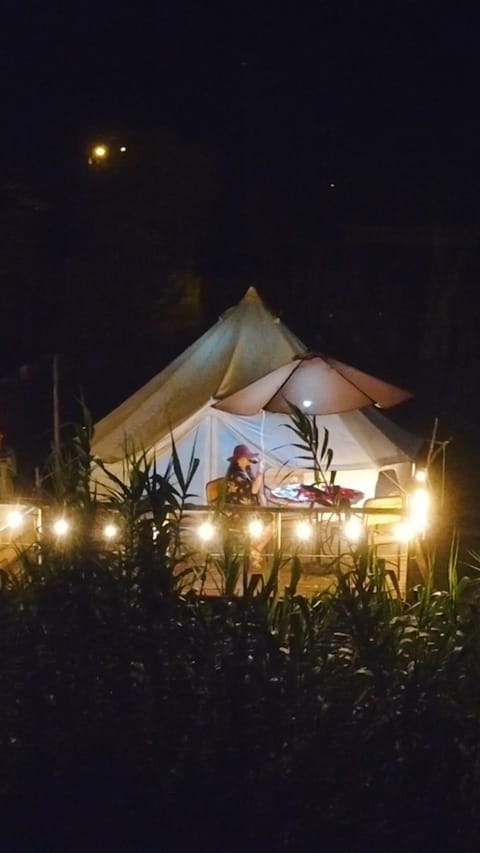 Night, Dinner