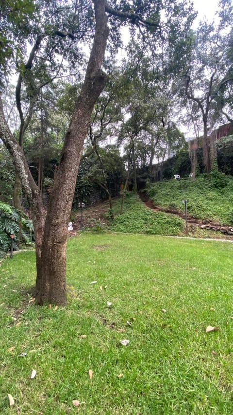 beautiful house, oasis dentro de la ciudad House in Mexico City