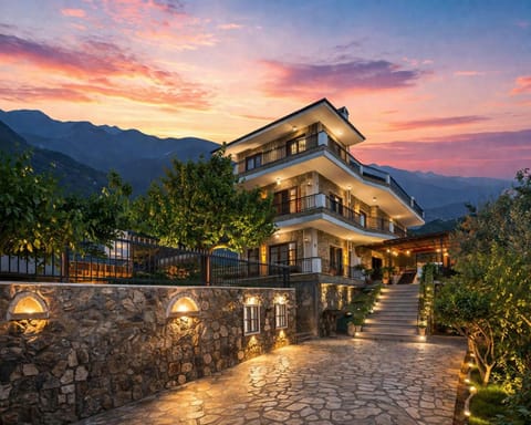 Property view