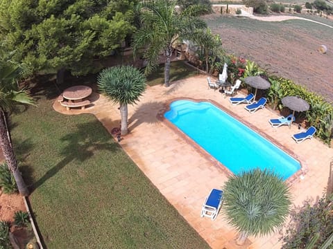 Spring, Day, Natural landscape, Garden, Garden view, Pool view, Swimming pool, sunbed