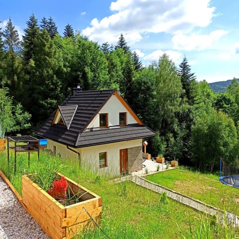 Property building, Spring, Natural landscape, Garden