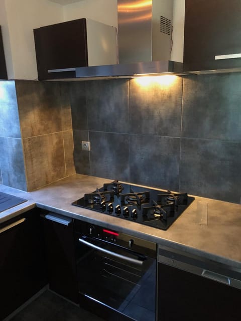 Les Cygnes Apartment in Aix-les-Bains