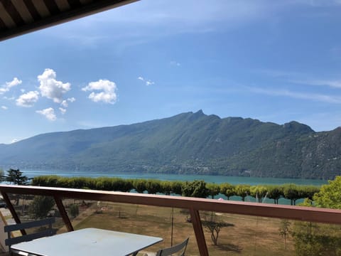 Les Cygnes Apartment in Aix-les-Bains