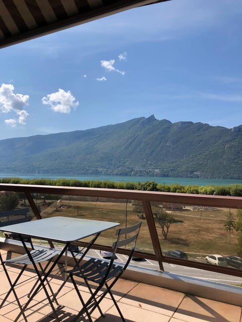 Les Cygnes Apartment in Aix-les-Bains