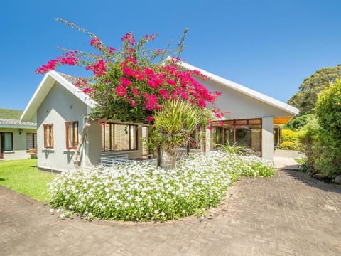 Scenic Escape House in Knysna