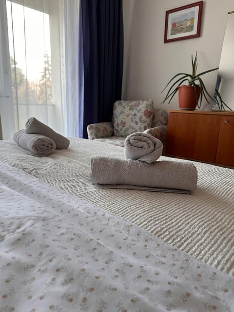 Bed, Photo of the whole room, Bedroom, towels