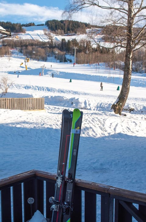 Skiing
