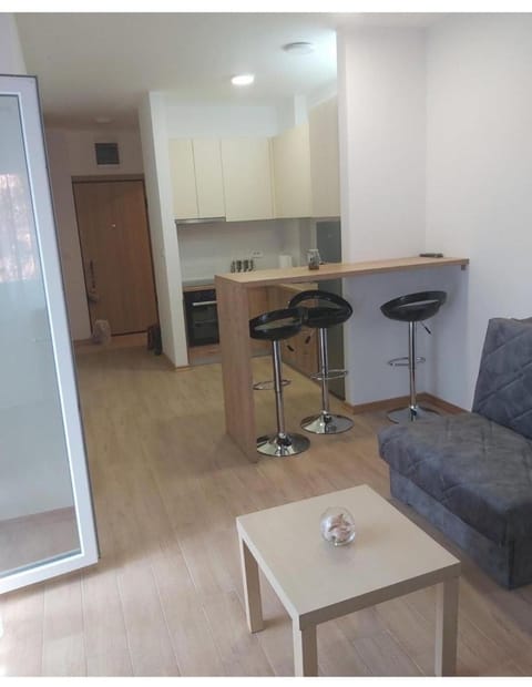 Studio Apartment in Budva