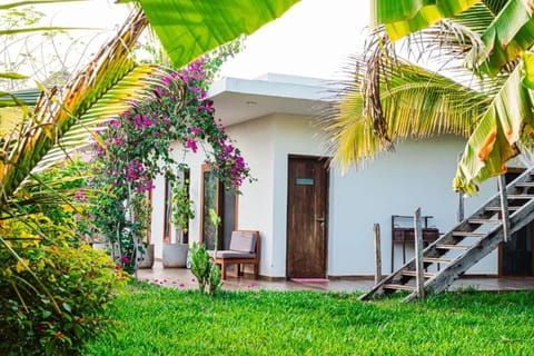 Property building, Day, Garden
