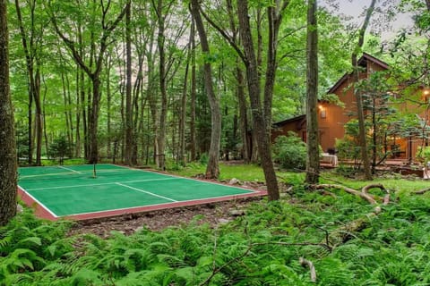 10 mins to ski slope, Pickle Ball, HotTub House in Hickory Run State Park