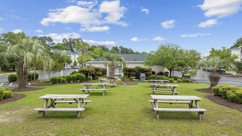 Spring, Day, Natural landscape, Garden, Garden view, Location