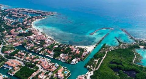 Bird's eye view, Beach