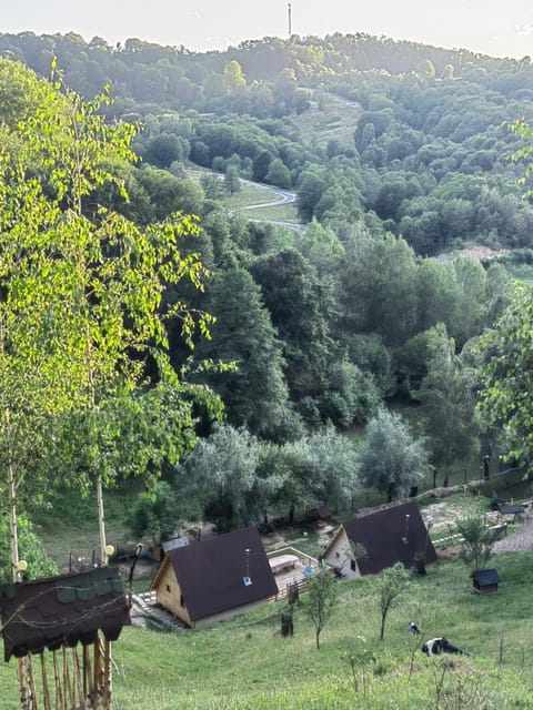 Spring, Natural landscape, View (from property/room)