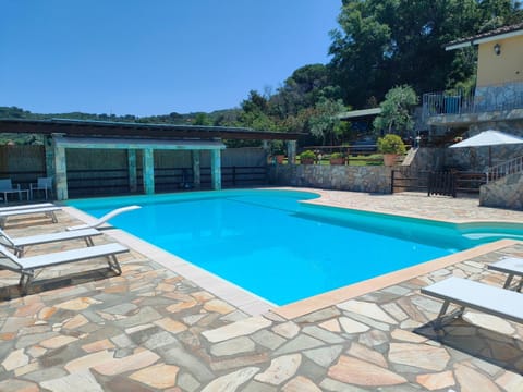 Patio, Day, Pool view, Swimming pool, sunbed