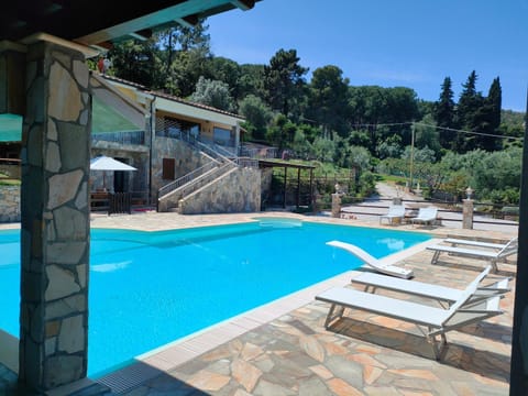 Patio, Day, Natural landscape, Garden, Garden view, Pool view, Swimming pool, sunbed