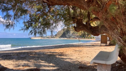 Natural landscape, Beach