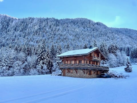 Chalet Les Oursons Chalet in Haute-Savoie