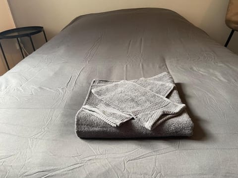 Studio Hôtel Villeurbanne Centre Apartment in Villeurbanne