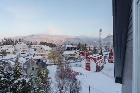 Day, Winter, Mountain view