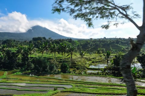 Natural landscape, Mountain view