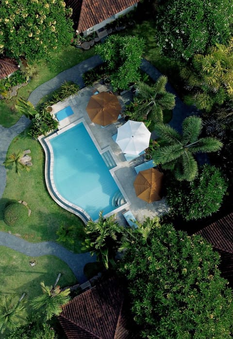 Garden, Swimming pool