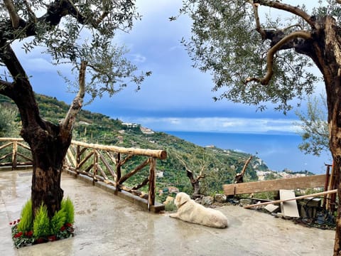 Nearby landmark, Sea view