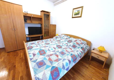 ERIKA Ap 4 Nr2 Apartment in Novigrad