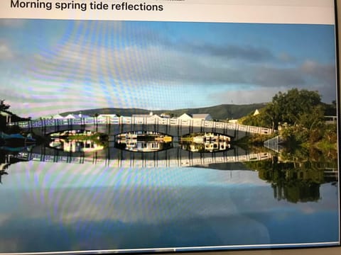 Natural landscape, River view