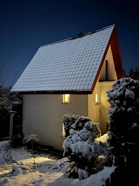 Night, Winter