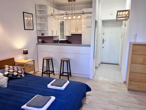 Bed, Kitchen or kitchenette, Photo of the whole room