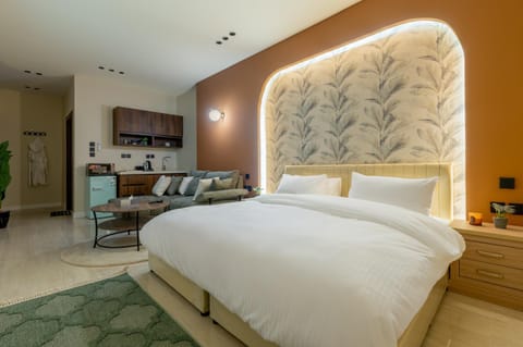 Bed, Kitchen or kitchenette, Living room, Photo of the whole room, Seating area