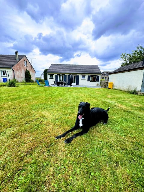 Garden, Pets