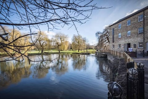 Beautiful Central Apt With Parking Apartment in Cambridge