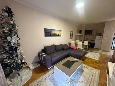 Miona Apartment in Budva