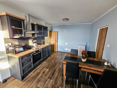 Kitchen or kitchenette, Dining area, oven, stove