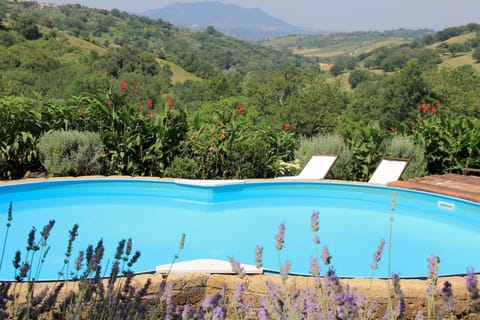 Natural landscape, Garden, Mountain view, Pool view, Swimming pool, sunbed