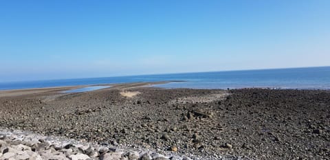 2 Harbour Views Apartment in Rhôs-on-Sea