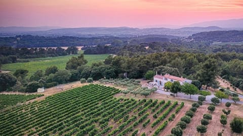 Mas familial dans les vignes, idéal télétravail Villa in Pertuis