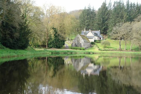 Lake view
