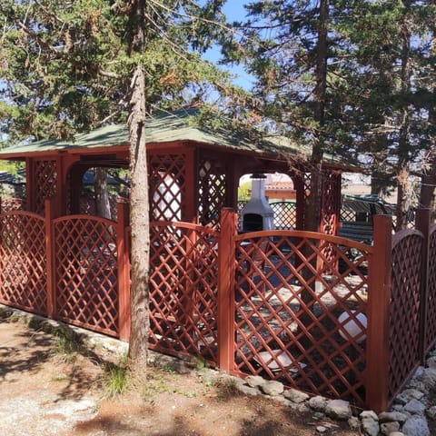 Casa Margherita - Isole Tremiti Apartment in Province of Foggia