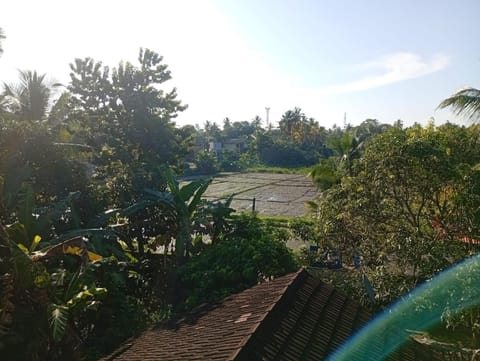 Day, Natural landscape, Garden, Garden, Garden view