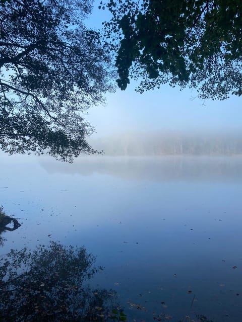 Pension zum Zenshaus kleine Auszeit Bed and Breakfast in Lychen