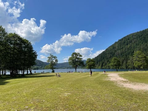 Natural landscape, Lake view, Mountain view