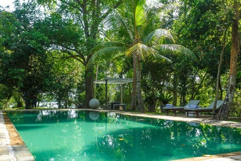 Day, Garden, Garden view, Pool view, Swimming pool, sunbed