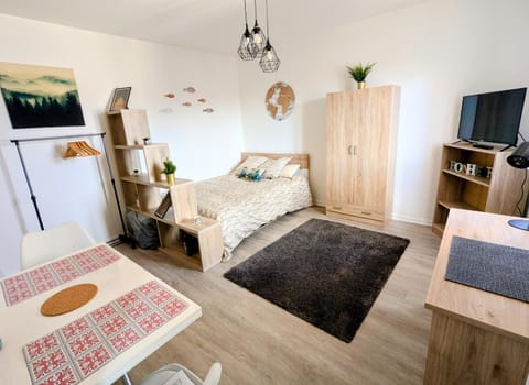 Bed, TV and multimedia, Living room, Photo of the whole room, Seating area, Bedroom, wardrobe