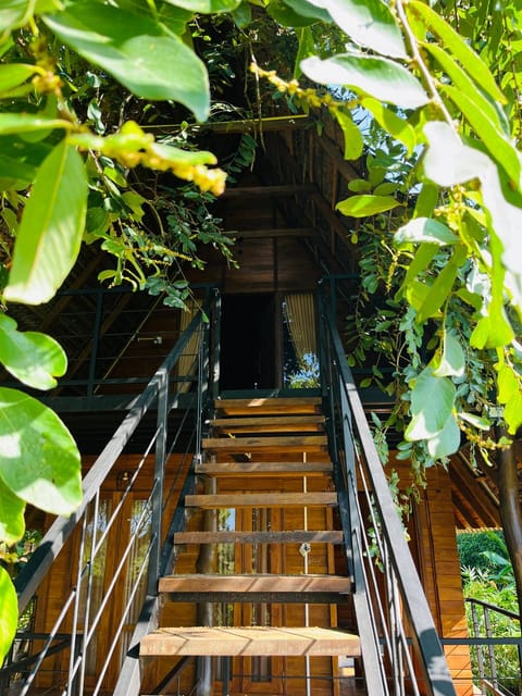 Natural landscape, Garden