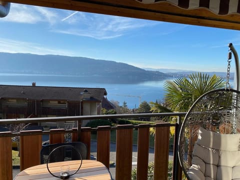 La lumière du lac, duplex avec vue lac, parking Apartment in Haute-Savoie