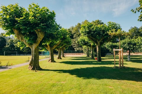 Spring, Day, Natural landscape, Garden, Garden, Sports