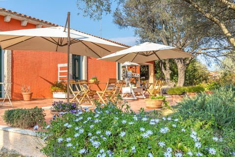 Dining area, Garden view