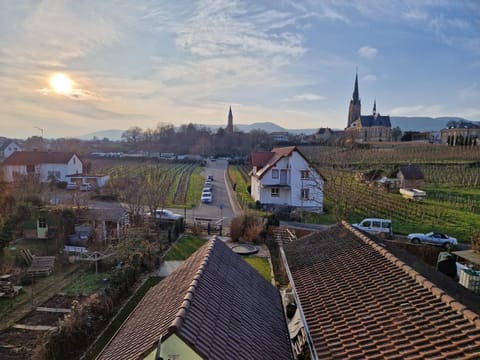 Neighbourhood, Natural landscape, City view, Street view